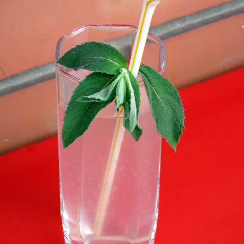 Đumbir limunada
