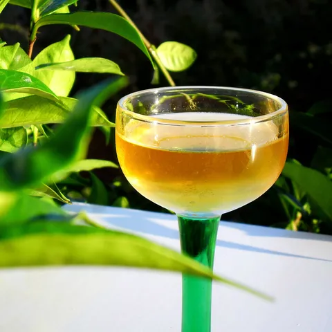 apricot-domaći liker od marelica