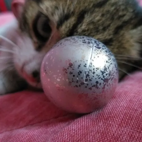 Joksy