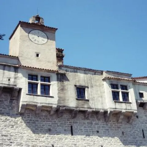 Castrum Pisinum (pazinski kaštel) postojani čuvar Pazinske grotte