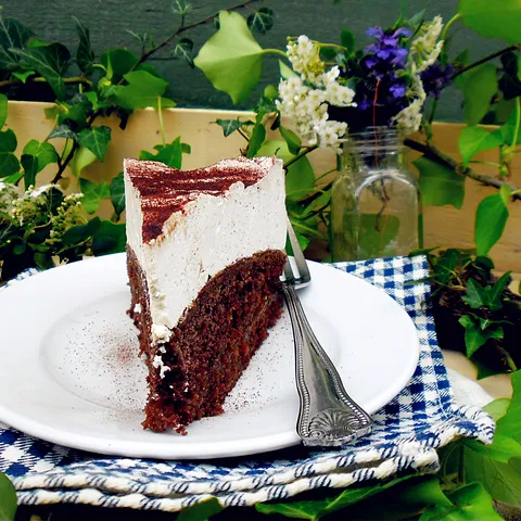chocolate coffe torta sa džemom od marelica