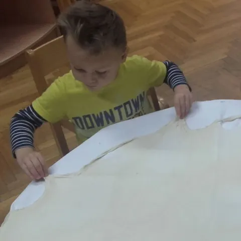 shrsak1