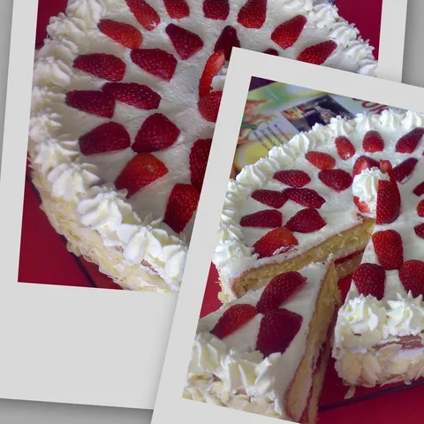 tortica