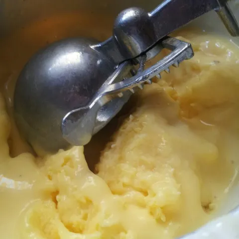 Orginalan recept za sladoled od vanilije