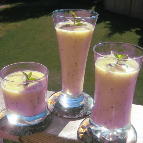Detox cooler