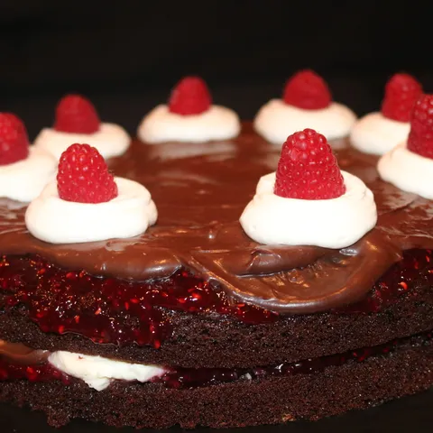 Čokoladna torta s malinama