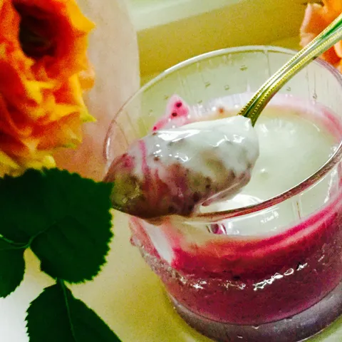 Chia desert ili puding