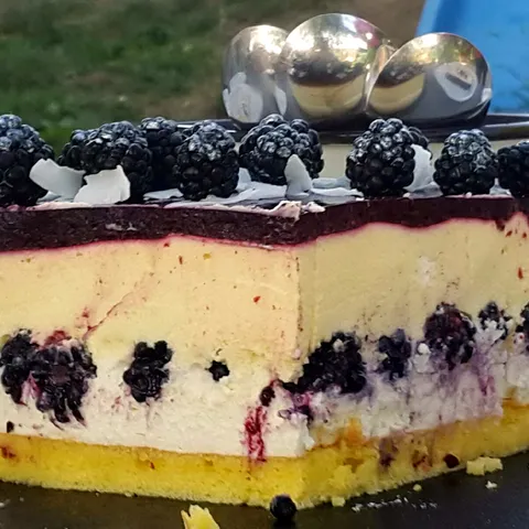 Torta sa kupinama i bazgom (zovom)