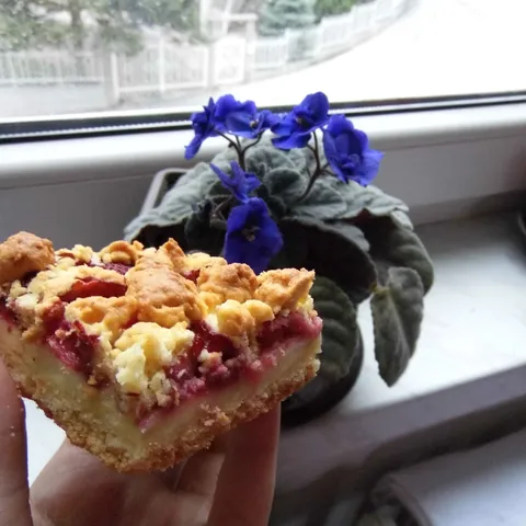 Berry pita