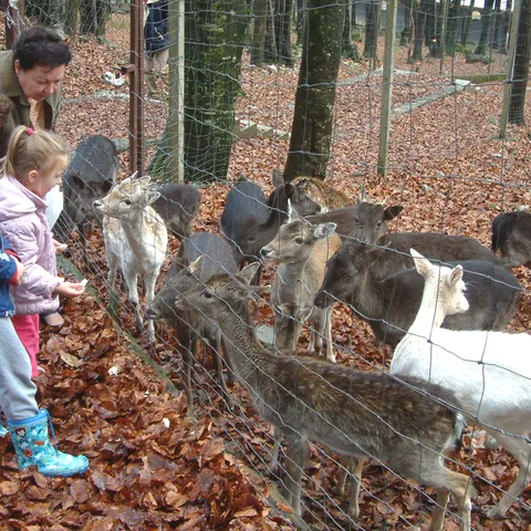 Goranske razglednice 6