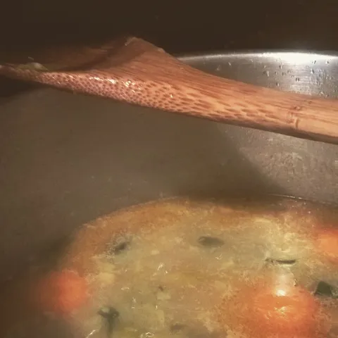 Poriluk varivo (mladi slavoner)