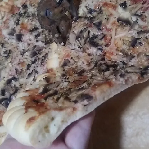 Pizza Capricciosa