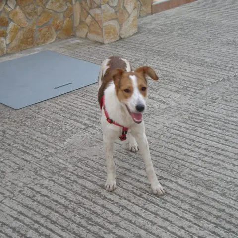 Naša Lucy