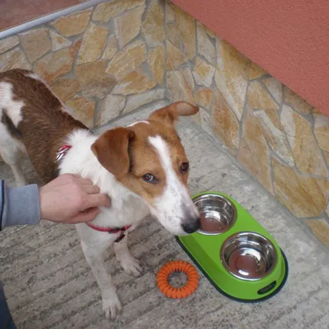 Naša Lucy