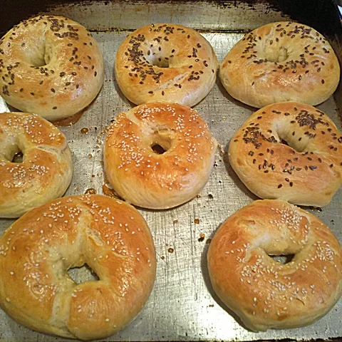 Bagel