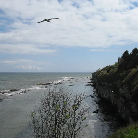 St Andrews, Scotland