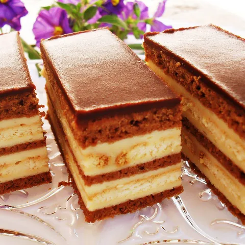 Jang kocke