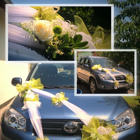 Mladenkin auto
