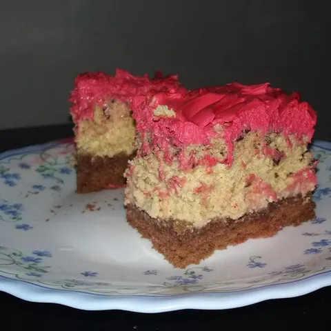 Plazma torta na moj način