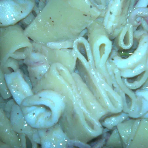 Calamarata Cauda