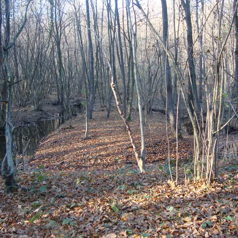 petrlicka