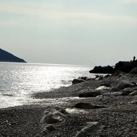 Dalmatinska kuhinja