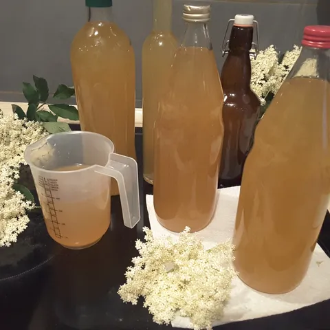 Sok (sirup) od bazge / zove