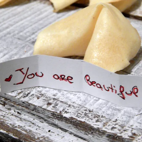 Fortune cookies - kolačići sreće