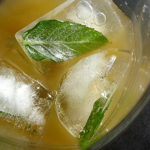 Mojito by Coolinarika