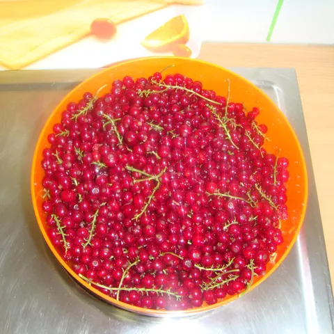 Ribizli