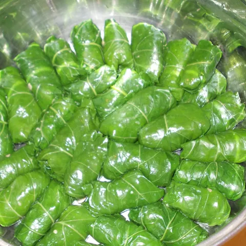 Sarma u japraku