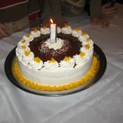 PETROVA TORTA SA VIŠNJAMA I ČOKOLADOM
