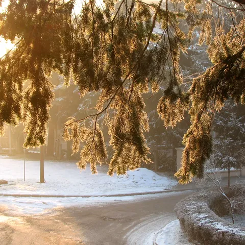 Dobro jutro svima .....