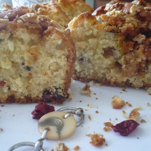 topping kolač s brusnicom..