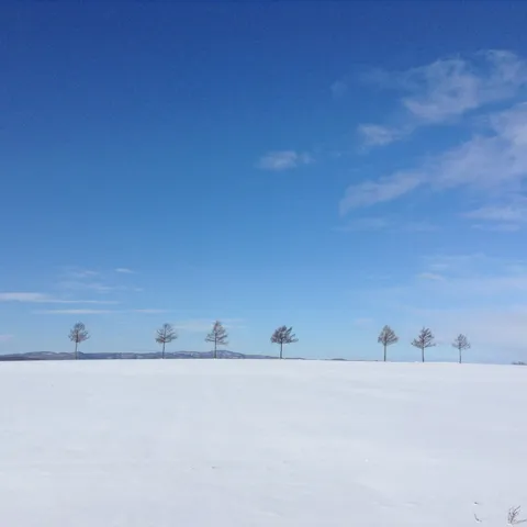 Hakolesa