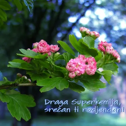 Piletina s povrćem i rižom