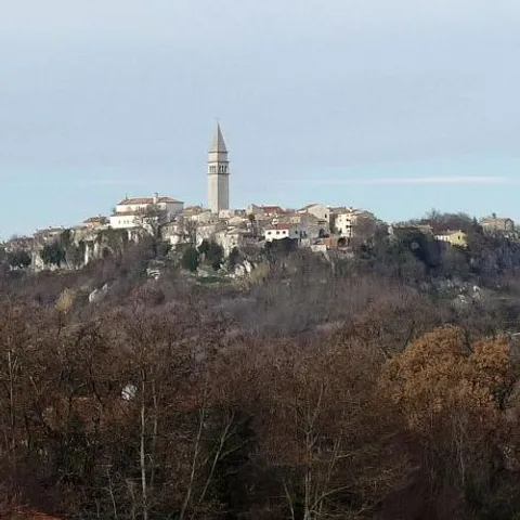 Čudesnim prahom posuti: Savičenta - Gračišće - Pićan