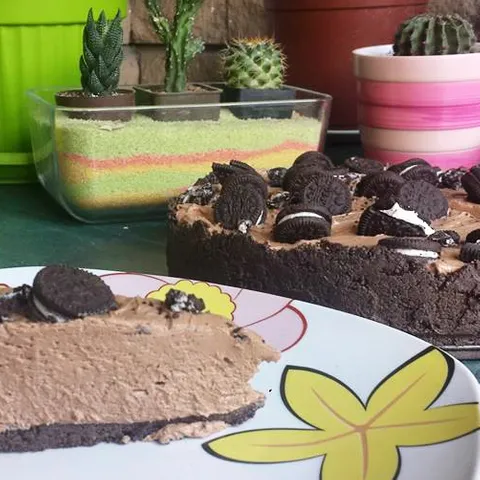 Oreo Nutella No-Bake Cheesecake