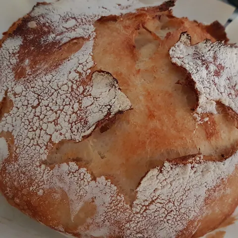 no knead brzi kruh