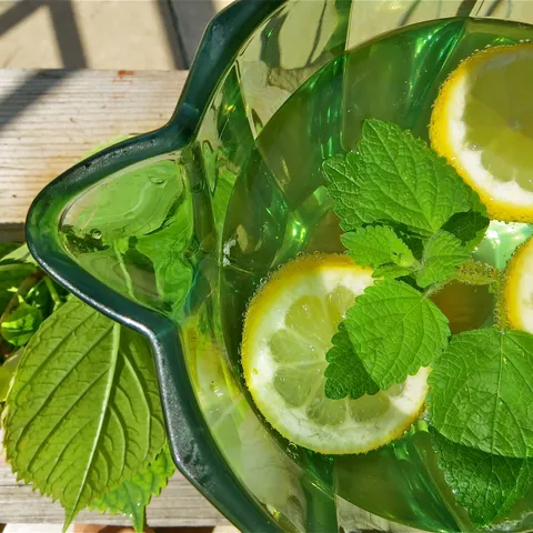 Sirup od melise (matičnjaka)