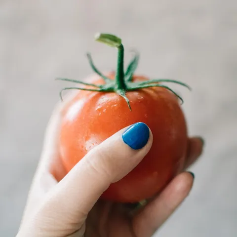 La Tomatina - kad rajčica uzvraća udarac!