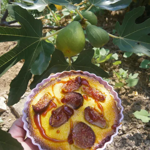 Pita od smokava s vanilijom