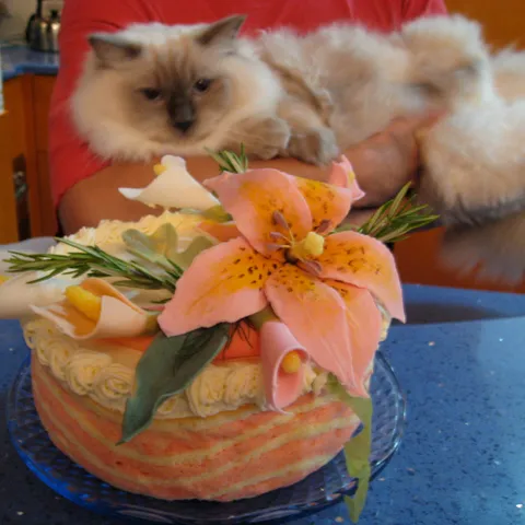 Torta sa malinama