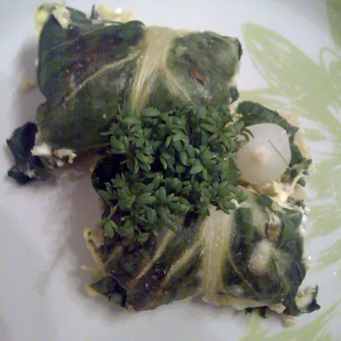 cous cous se grije u blitvi***