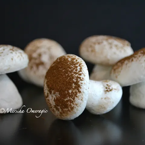 Meringue Sampinjoni