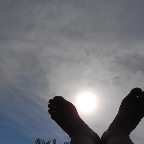 Suncicaaa