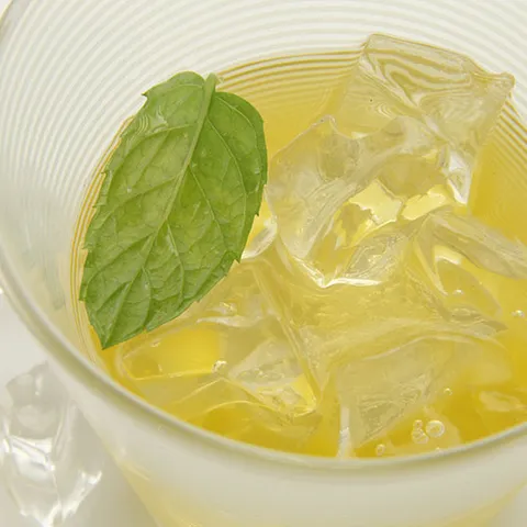 Orange Mojito Cocktail