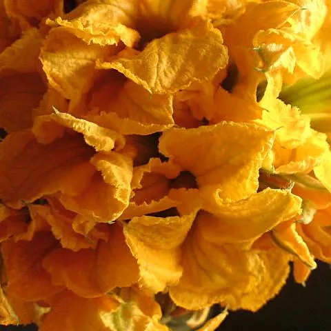 luster