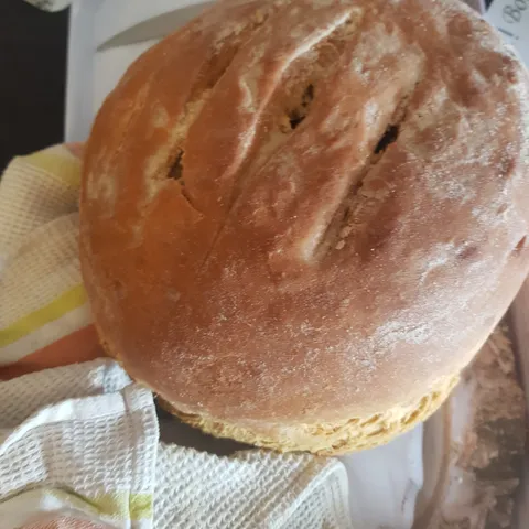 Domaci kruh