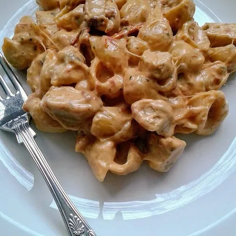 Penne sa piletinom u finom umaku